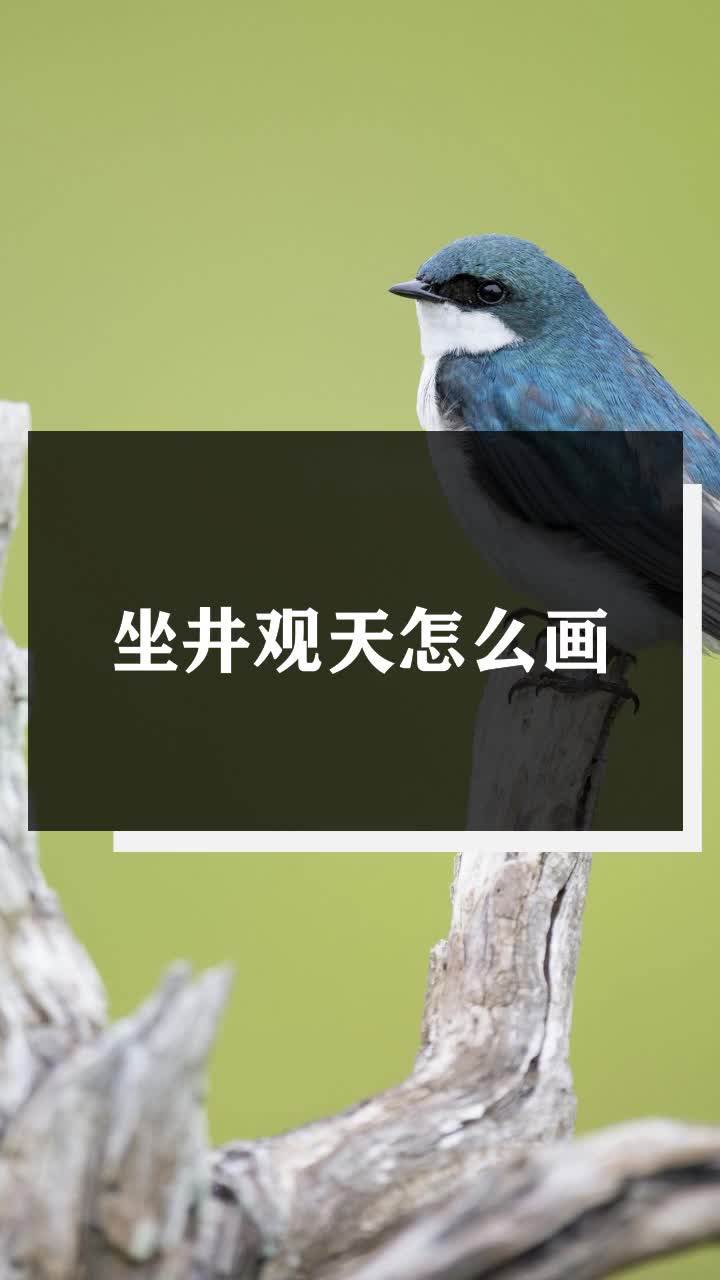 坐井观天怎么画
