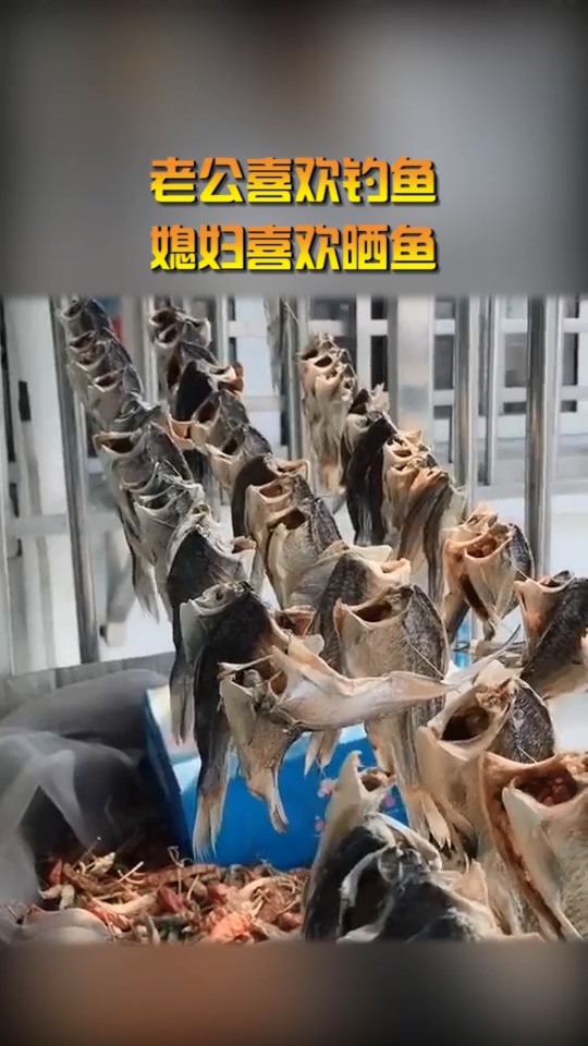 #奇闻趣事抢先看#家里有个贤惠能干的女人,老公喜欢钓鱼,媳妇喜欢晒鱼!