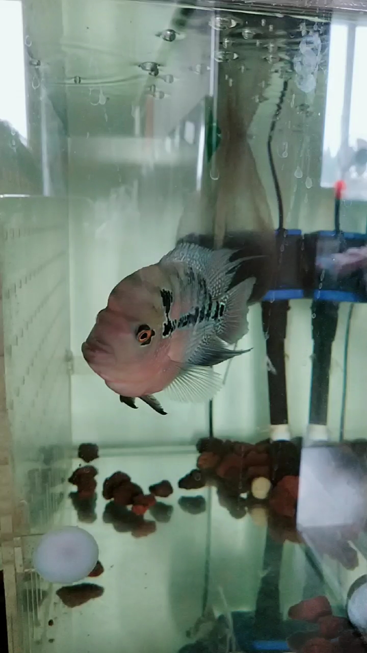 分享视频
