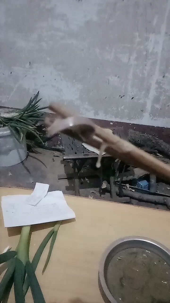 羊肾汤