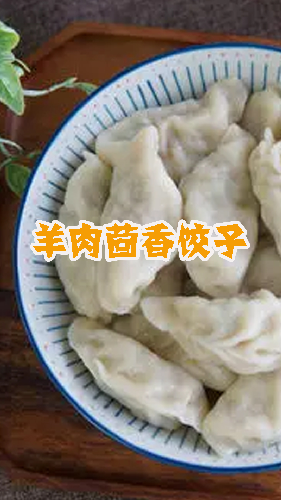羊肉茴香饺子