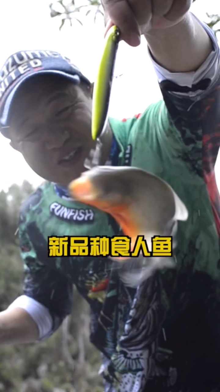 亚马逊有多少食人鱼?菜鱼而已!