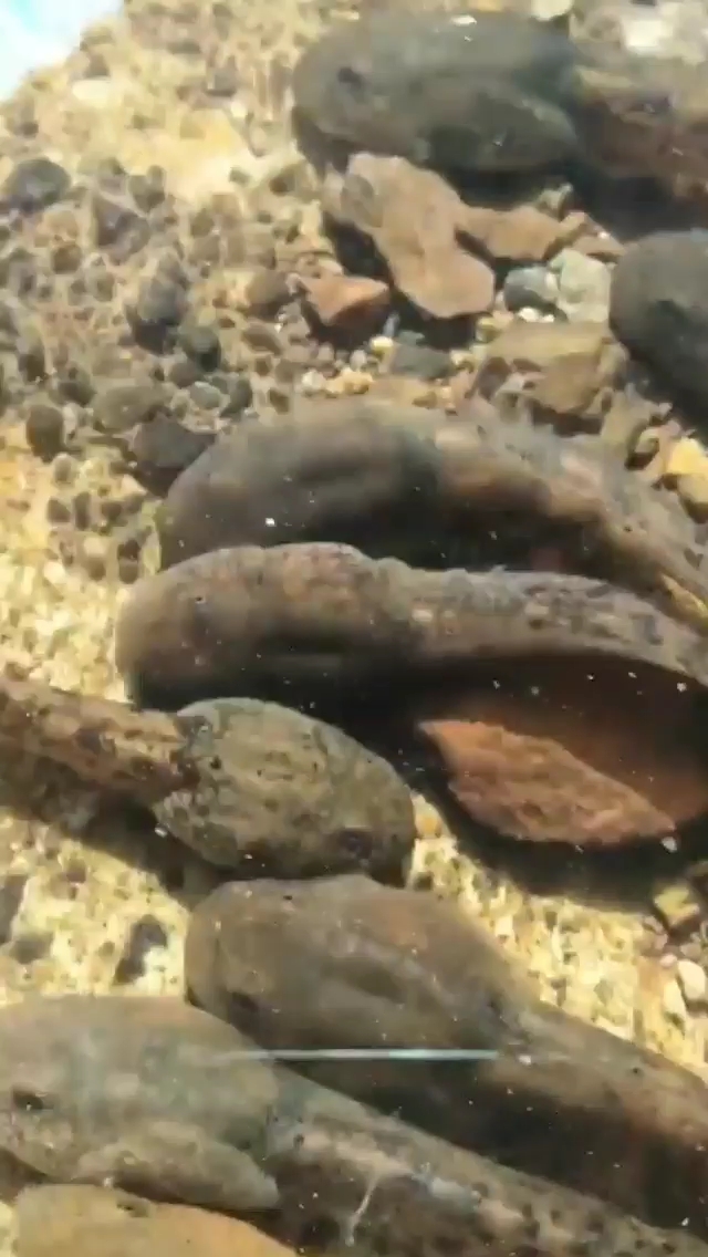 大家认识吗