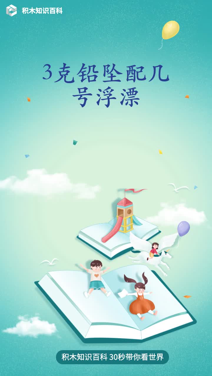3克铅坠配几号浮漂