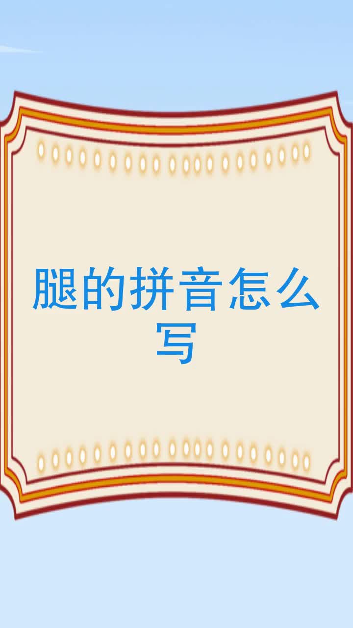 腿的拼音怎么写