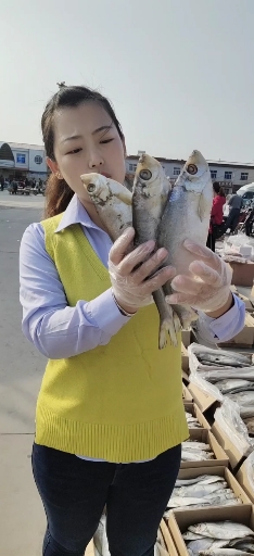 #贴秋膘#新鲜野生咸鱼白鳞鱼,适合蒸煎炸炖