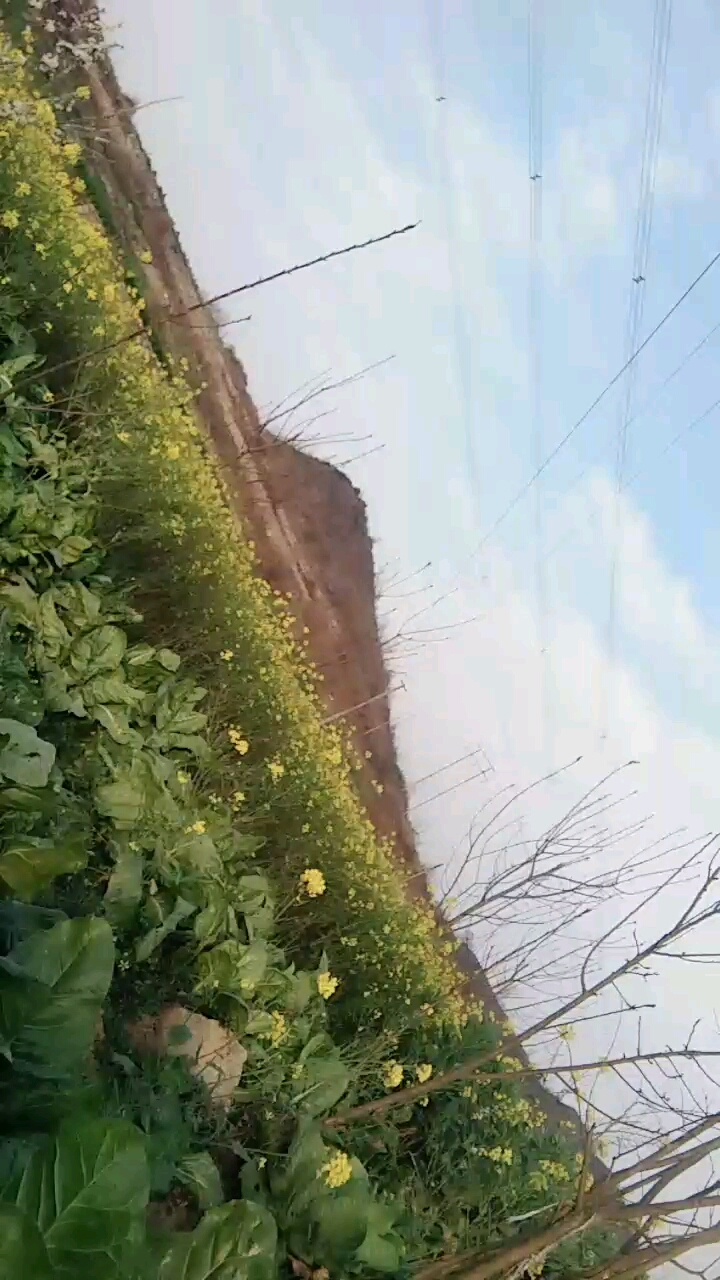 '''