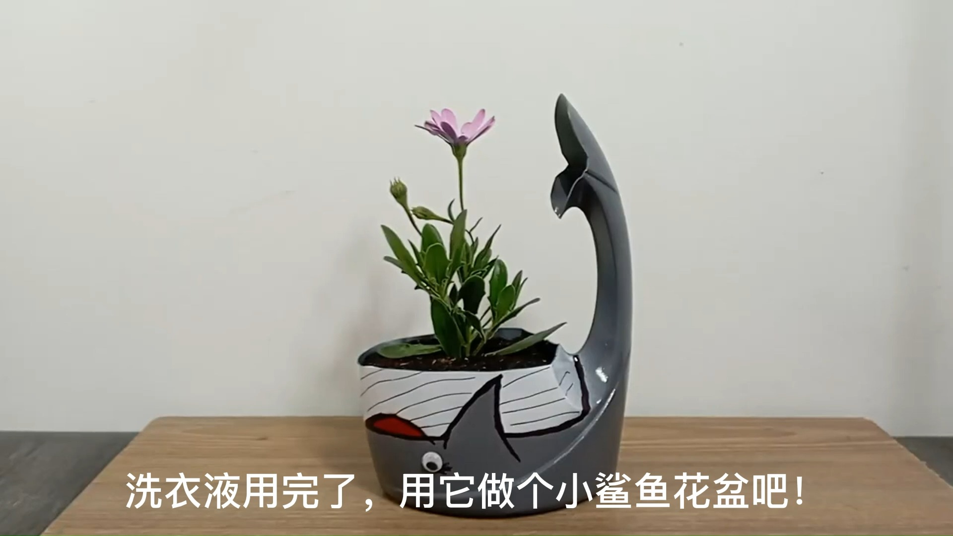 #手工制作#diy手工制作鲨鱼花盆生活小妙招废物利用变废为宝创意环保好物推荐