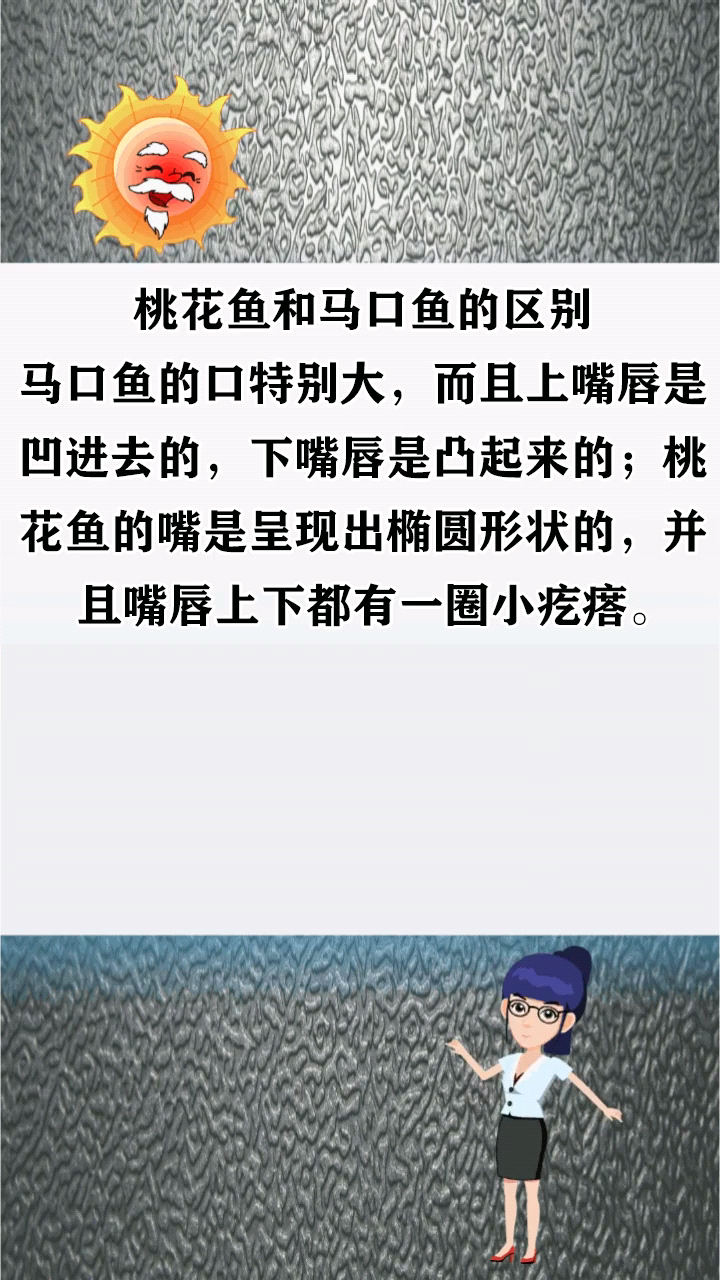 桃花鱼和马口鱼的区别