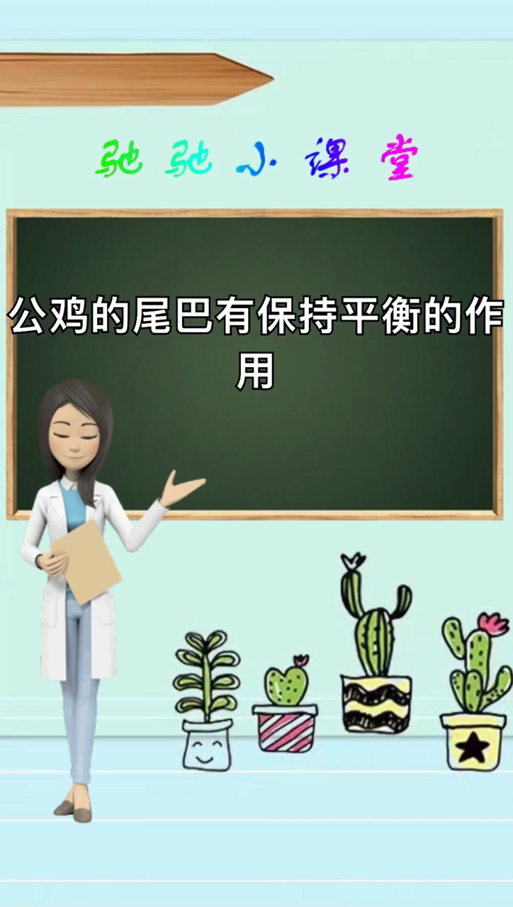 公鸡的尾巴有什么作用
