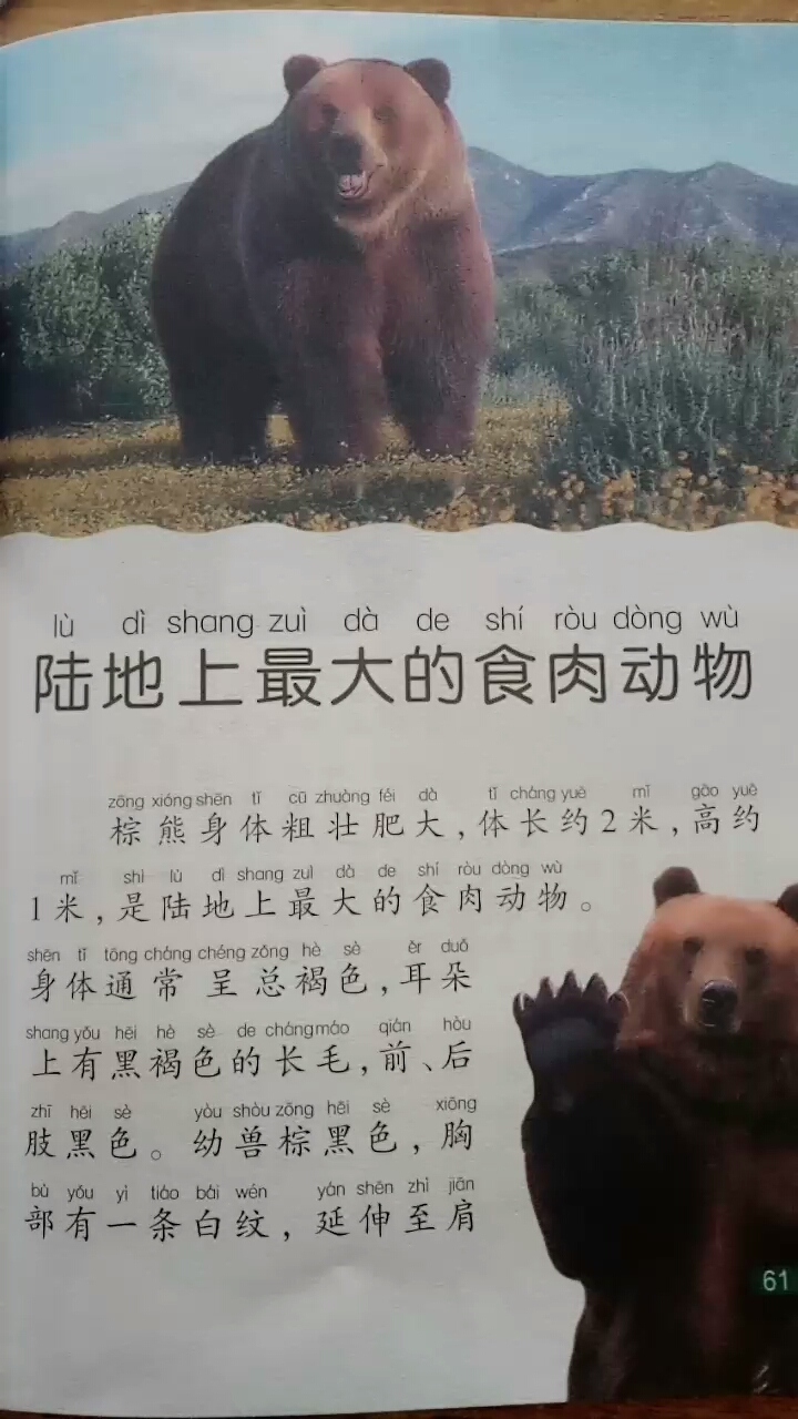 陆地上最大的食肉动物