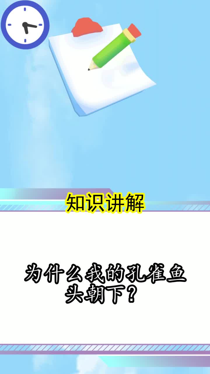 为什么我的孔雀鱼头朝下?
