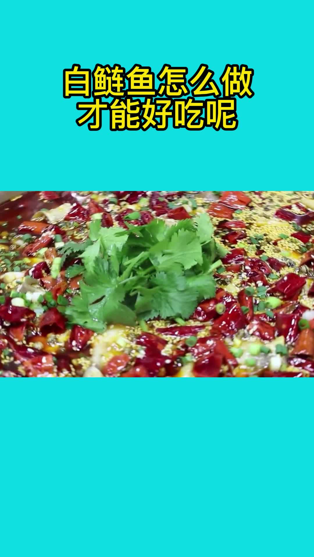 美味的白鲢鱼,吃了还想吃