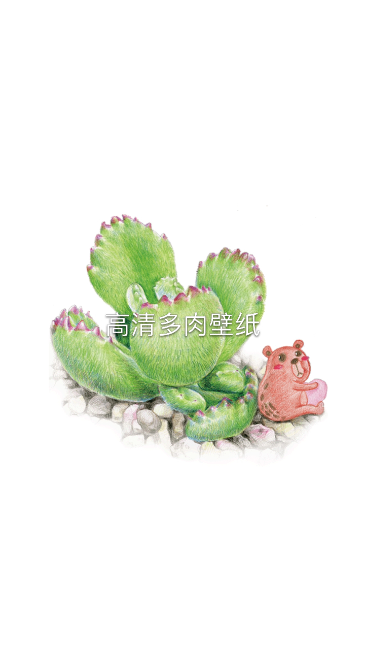 #动态壁纸#