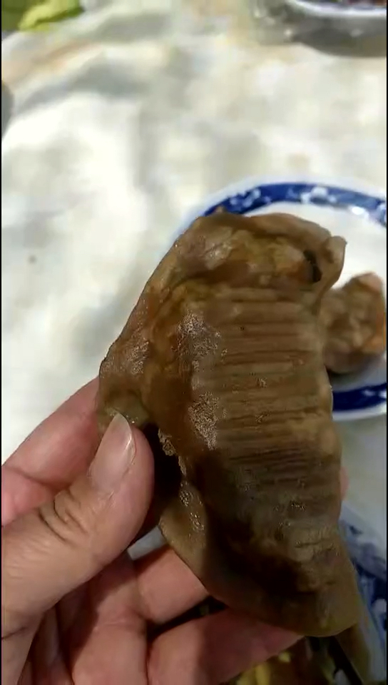 地瓜面皮的山野菜饺子