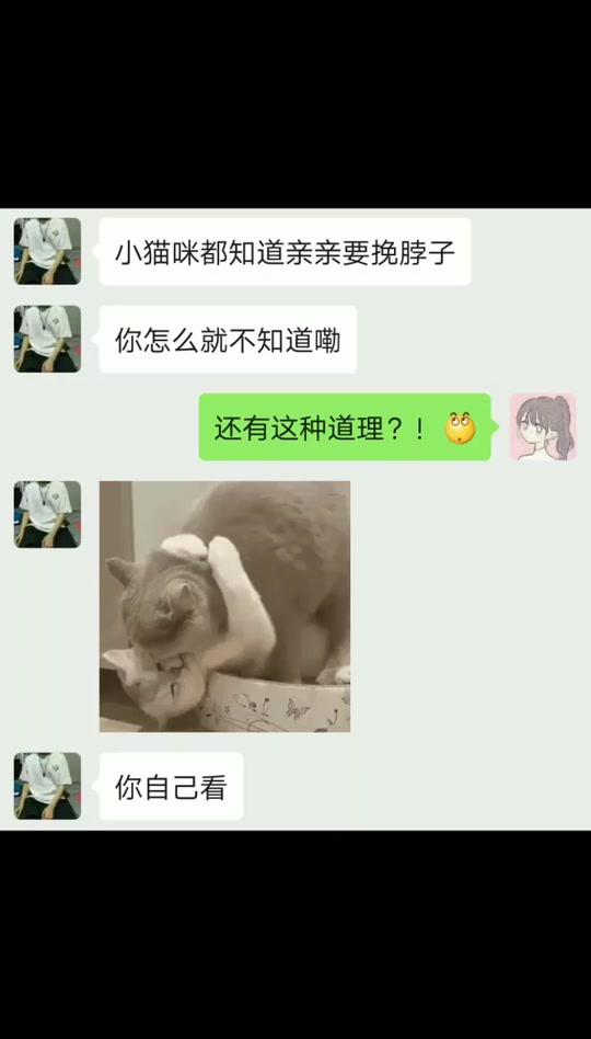 小猫咪说我不背这个锅#聊天记录 #表情包 #每帧都是表情包 #情侣 #搞笑 #甜甜的恋爱