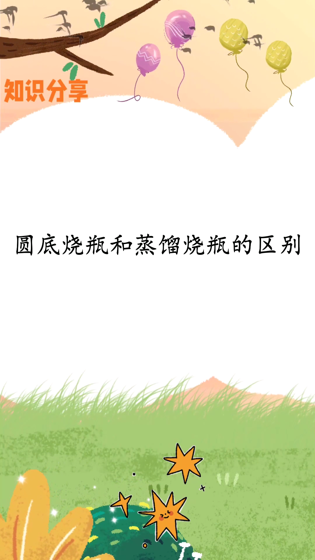 圆底烧瓶和蒸馏烧瓶的区别