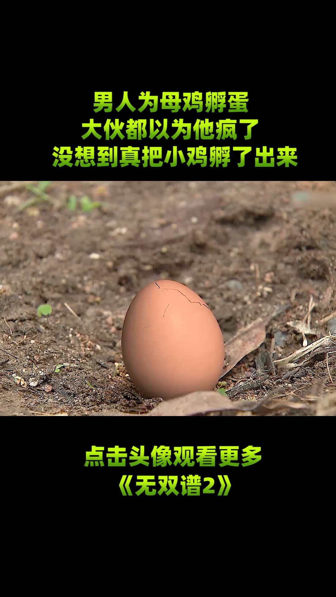 男人觉得母鸡孵蛋太累,于是帮它孵蛋!2