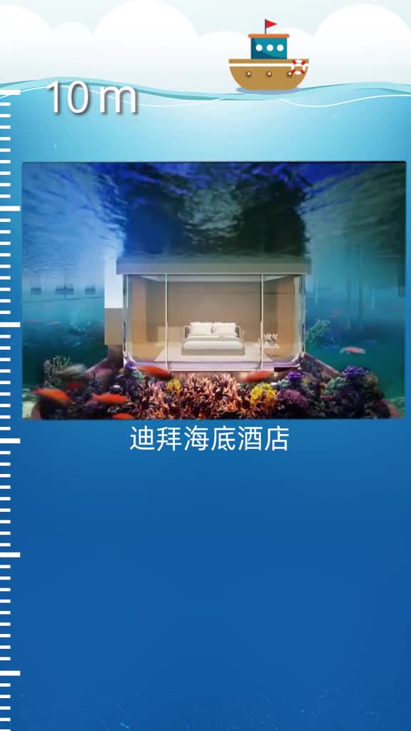 60秒看清海底世界,原来动画片不是骗人的,地球,,海洋奇妙之旅