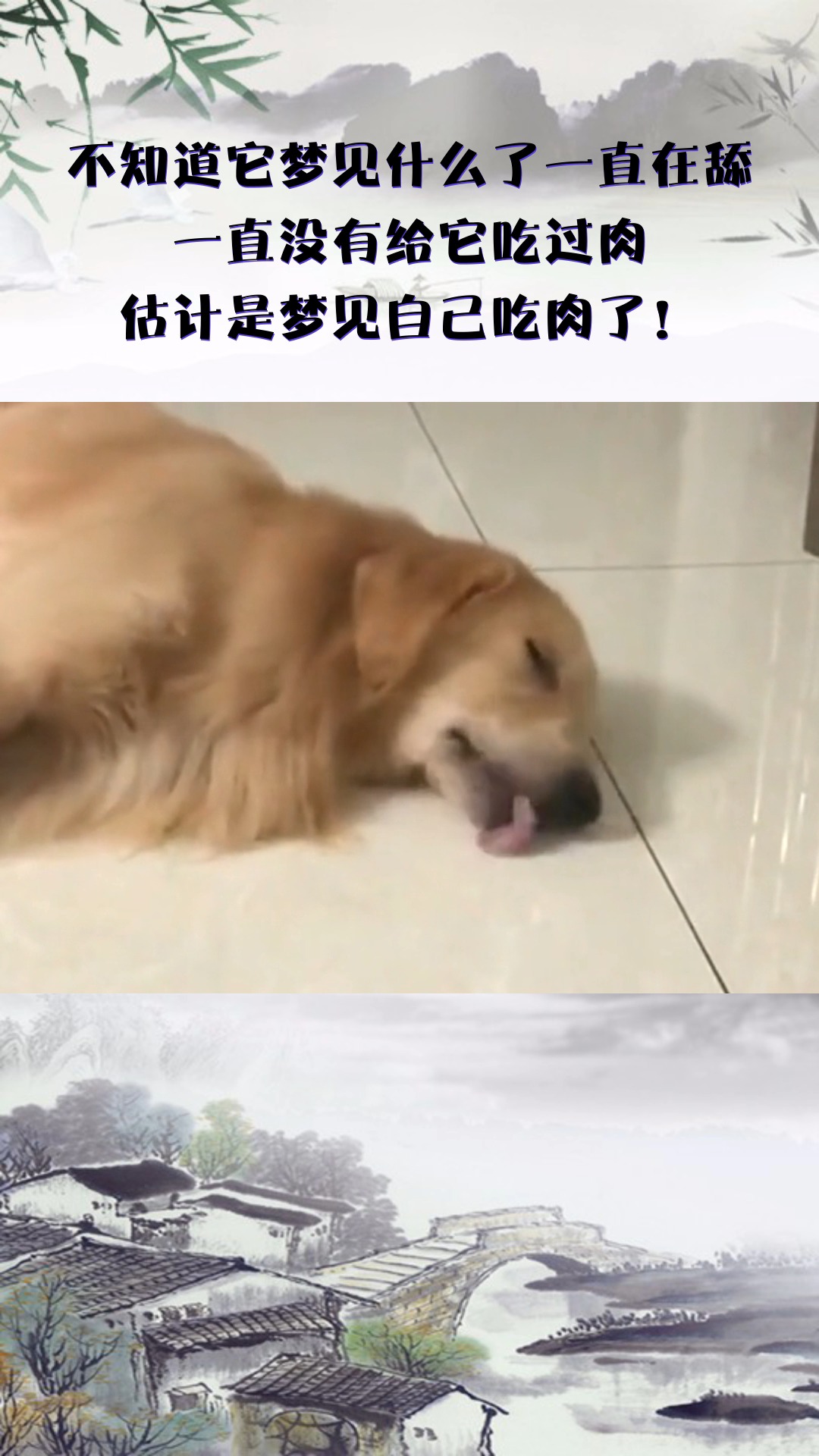 不知道它梦见什么了一直在舔,一直没有给它吃过肉,估计是梦见自己吃肉了!