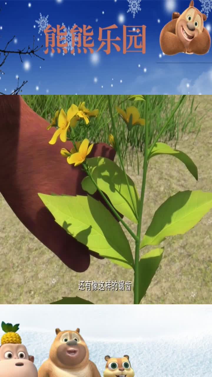 第12集不开心的捷豆豆_精彩片段12