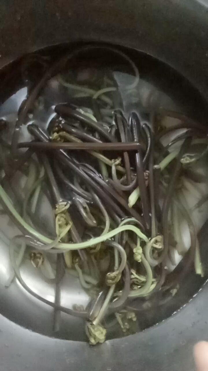 下午去山上摘的蕨菜,听说致癌,少吃点,尝尝鲜