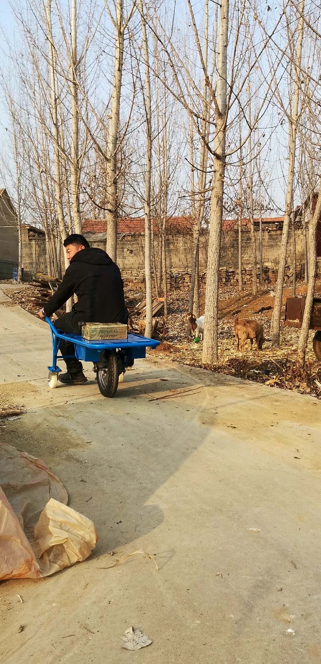 可载重800斤重物的电动鸡公车
