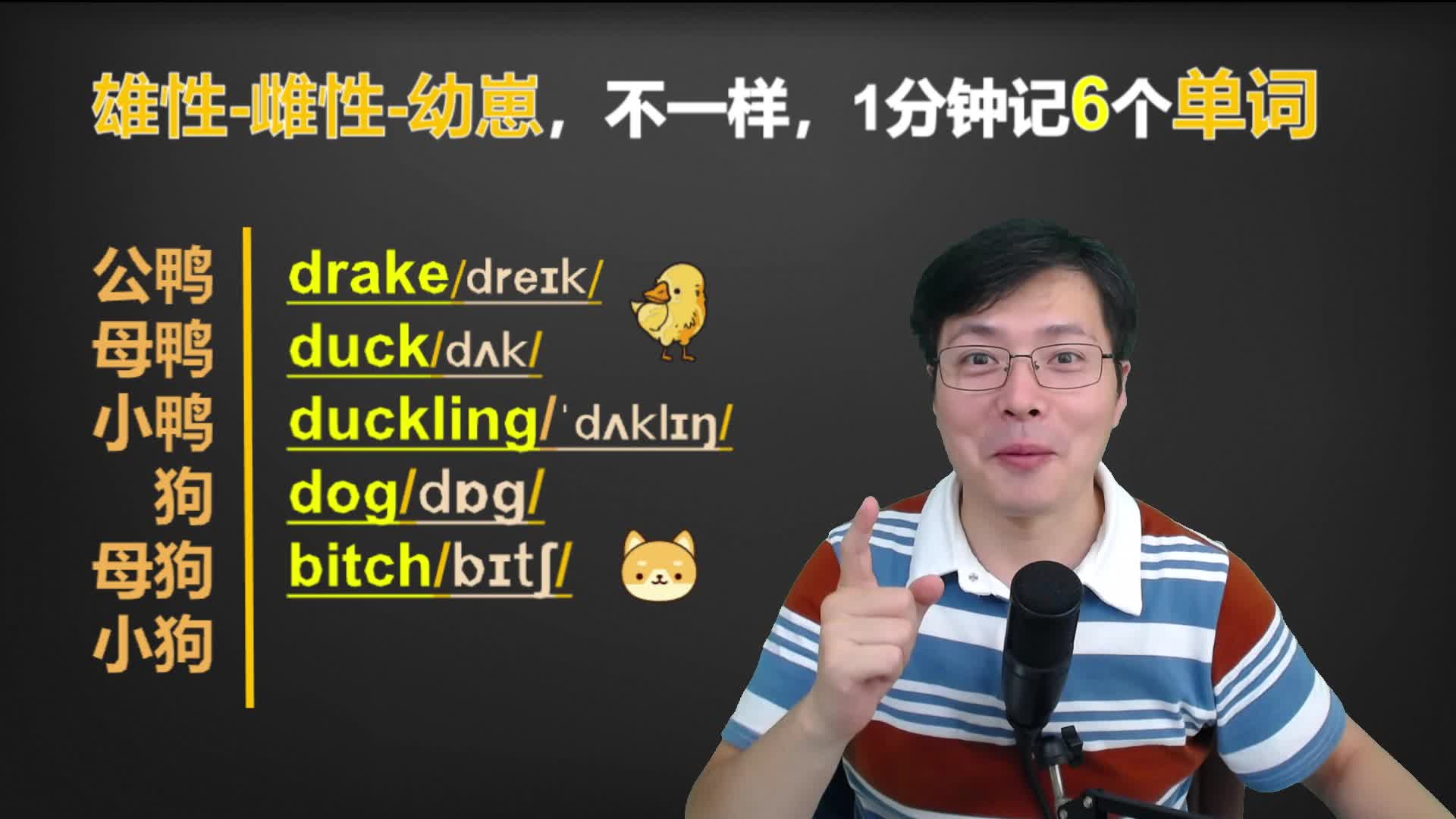 公鸭子,母鸭子和小鸭子的英语单词表达还不一样吗?跟老师来学习