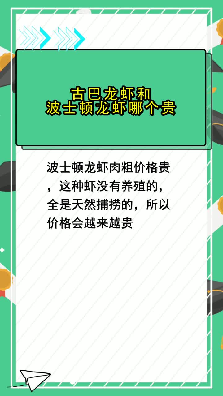 古巴龙虾和波士顿龙虾哪个贵,你明白了吗