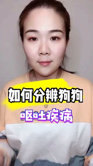 狗狗几种不同颜色呕吐物对应的症状妳都get了吗