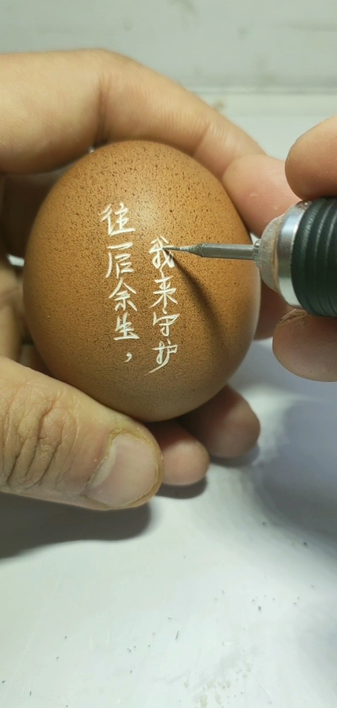 #隔离病毒不隔离爱#鸡蛋上作诗作画