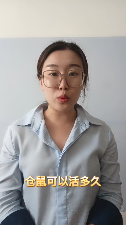 仓鼠可以活多久  