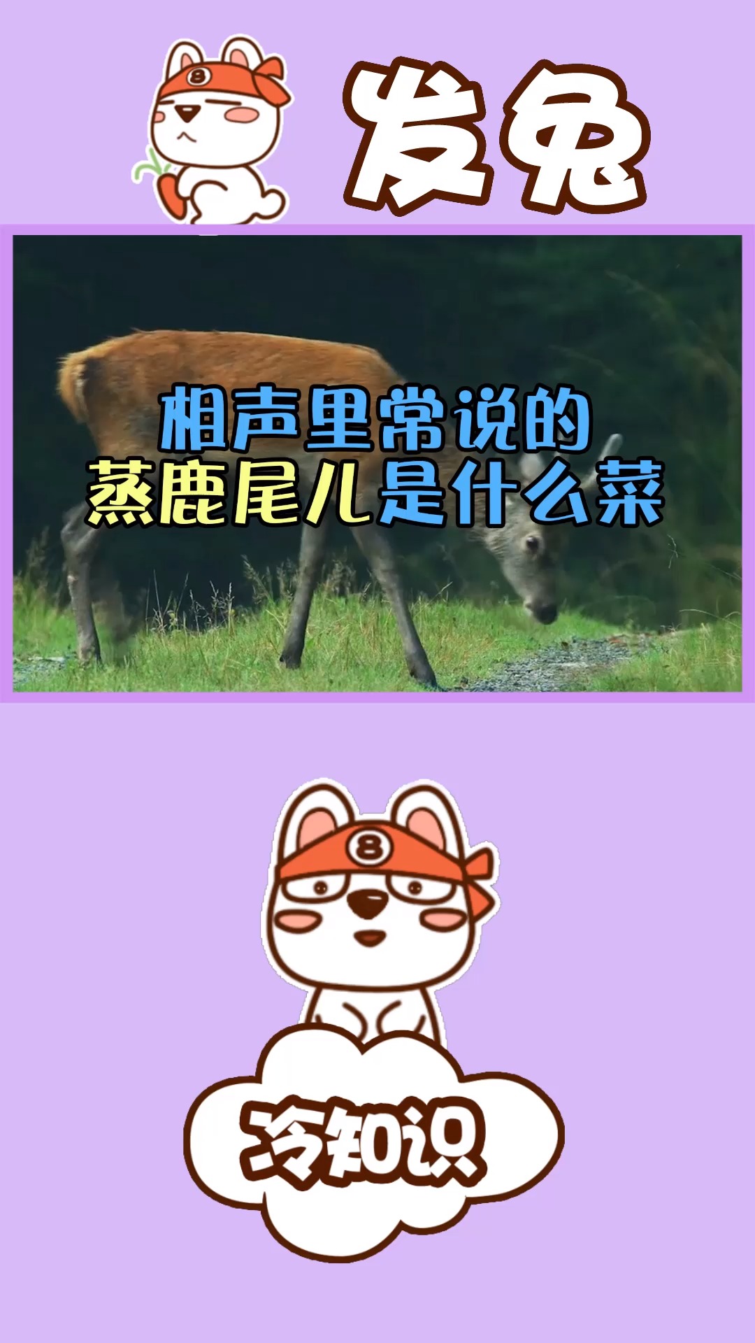 经常听相声里说蒸鹿尾儿,这是种什么菜?