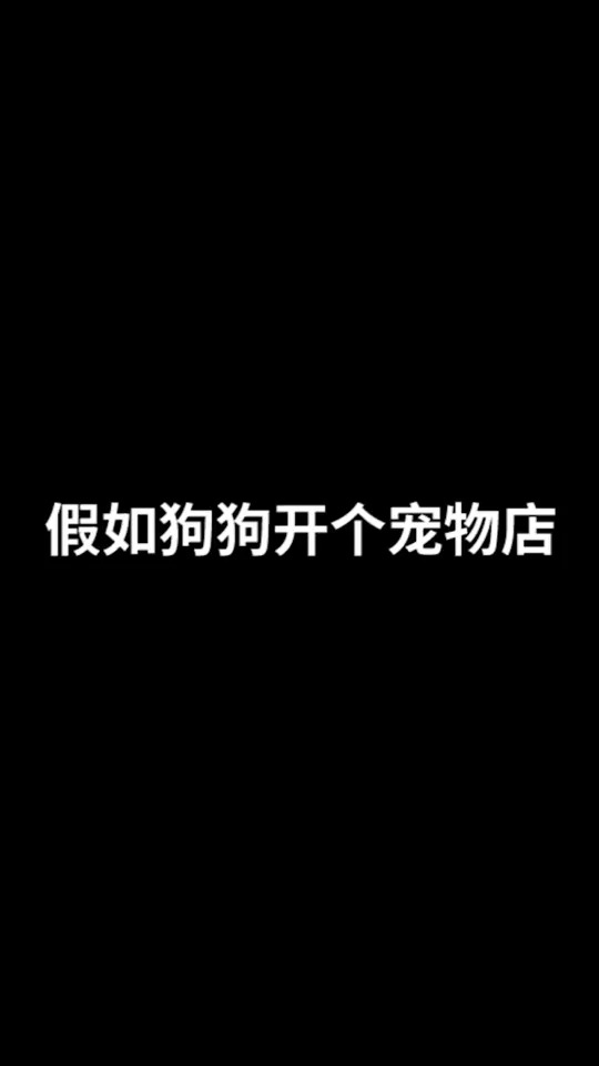 铲屎官的一个决定,会影响狗狗的一生,一定要慎重狗狗宠物