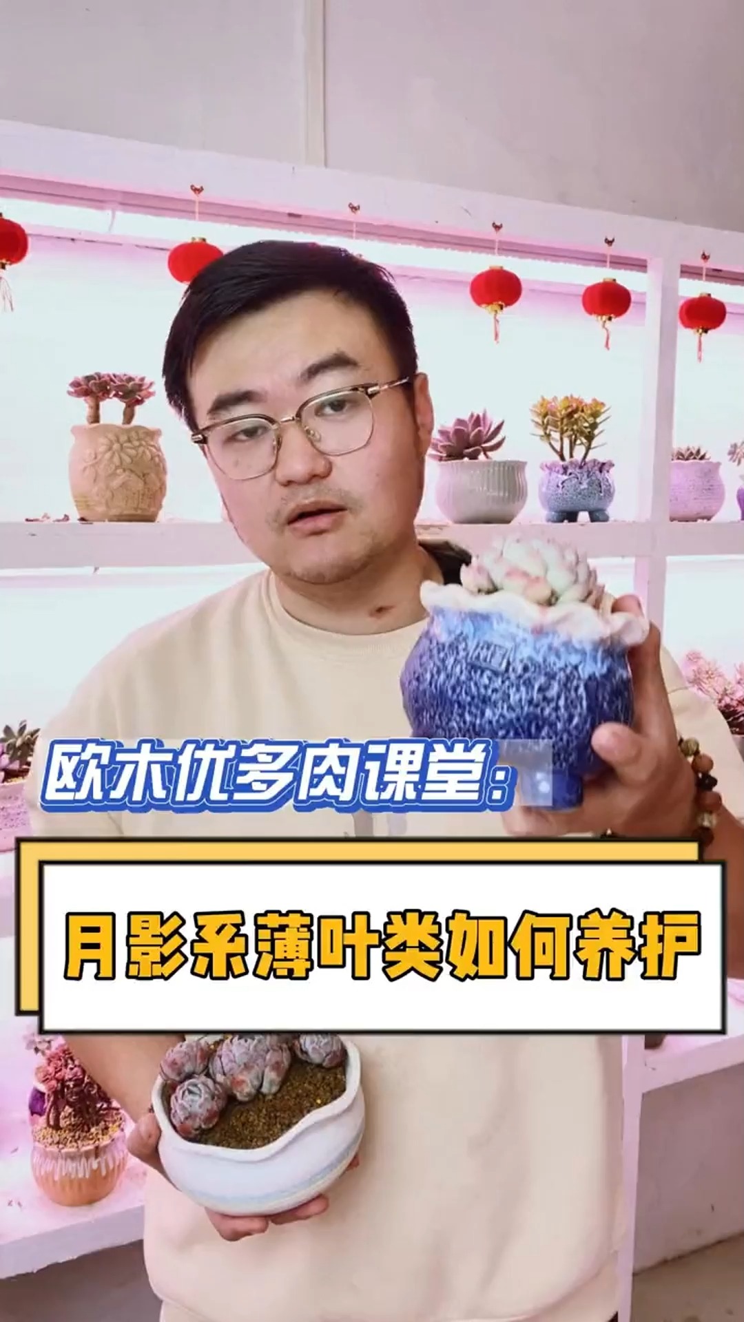 #多肉植物#月影系薄叶类的多肉要如何养护呢?这个视频告诉你们!