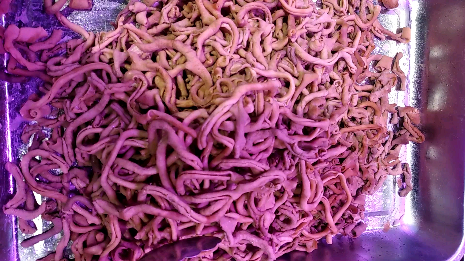 卤鸭肠