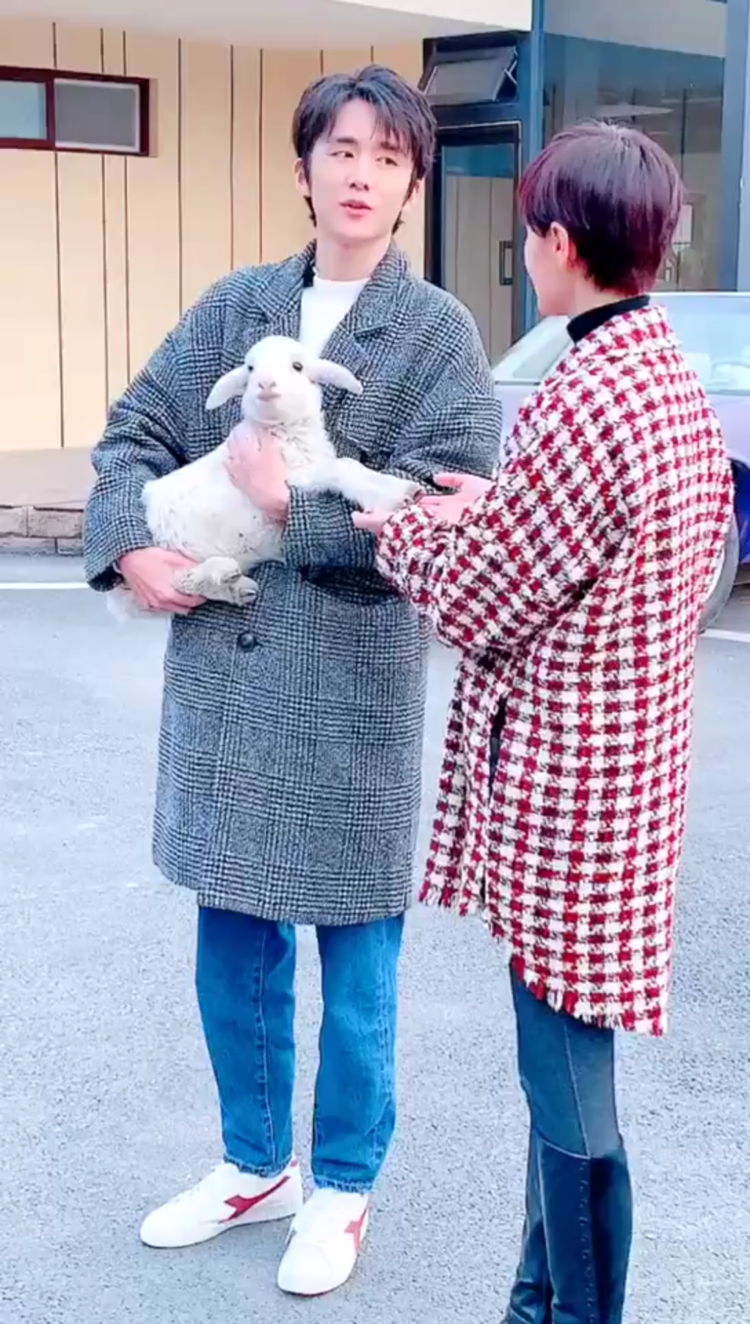 #张新成 #冰糖炖雪梨 超级大暖男跟羊羊的互动太有爱了  