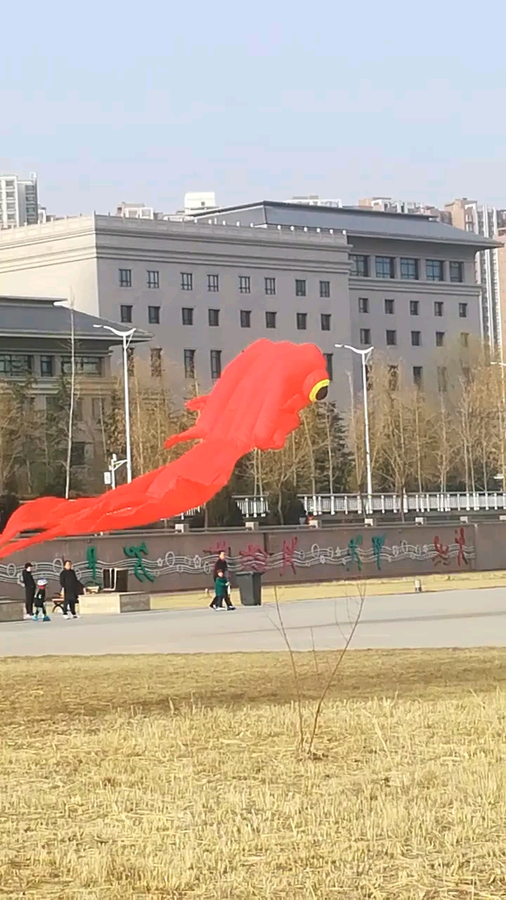 红金鱼准备起飞了!