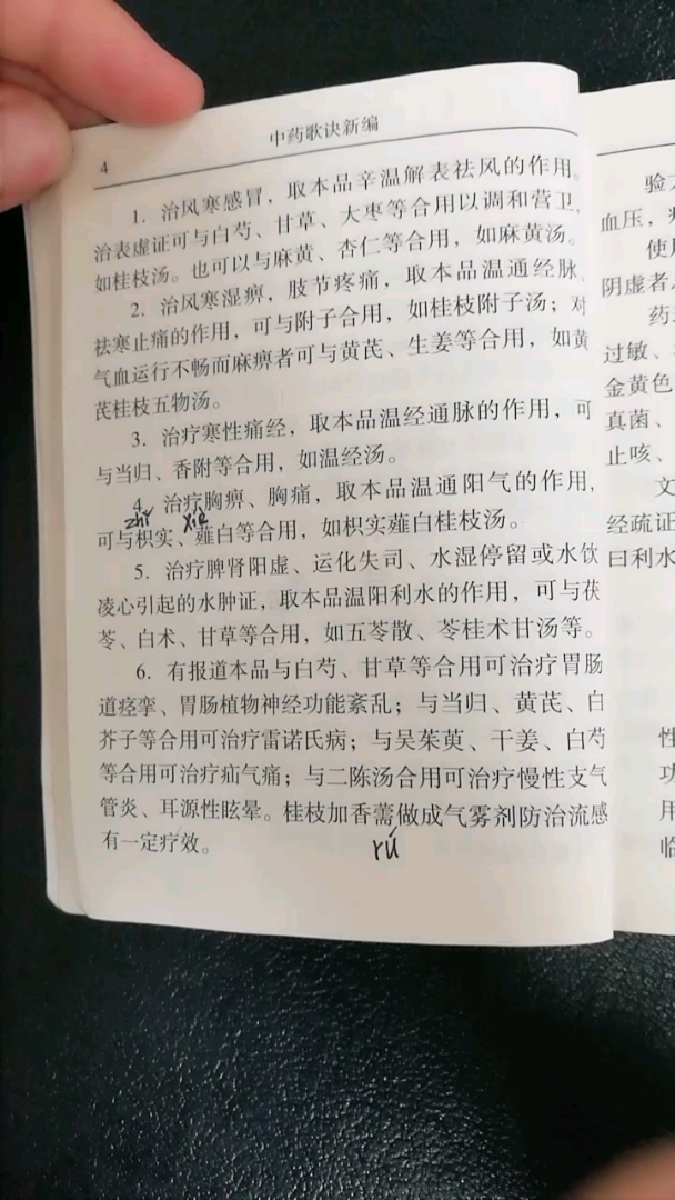 每天学习一味中草药——桂枝