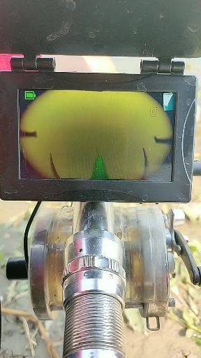 #可视锚鱼#可视锚鱼钓鱼野钓大鲤鱼