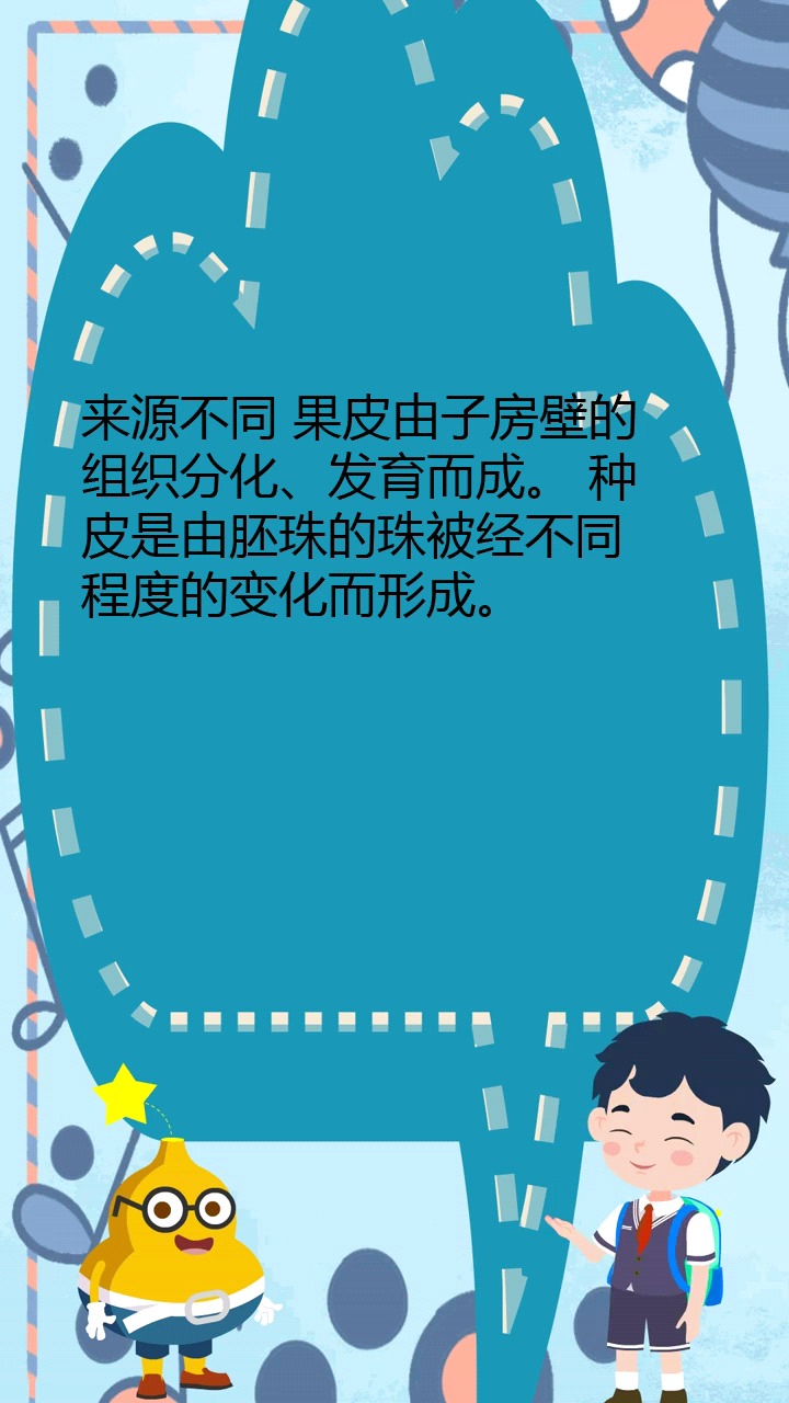 果皮和种皮的区别