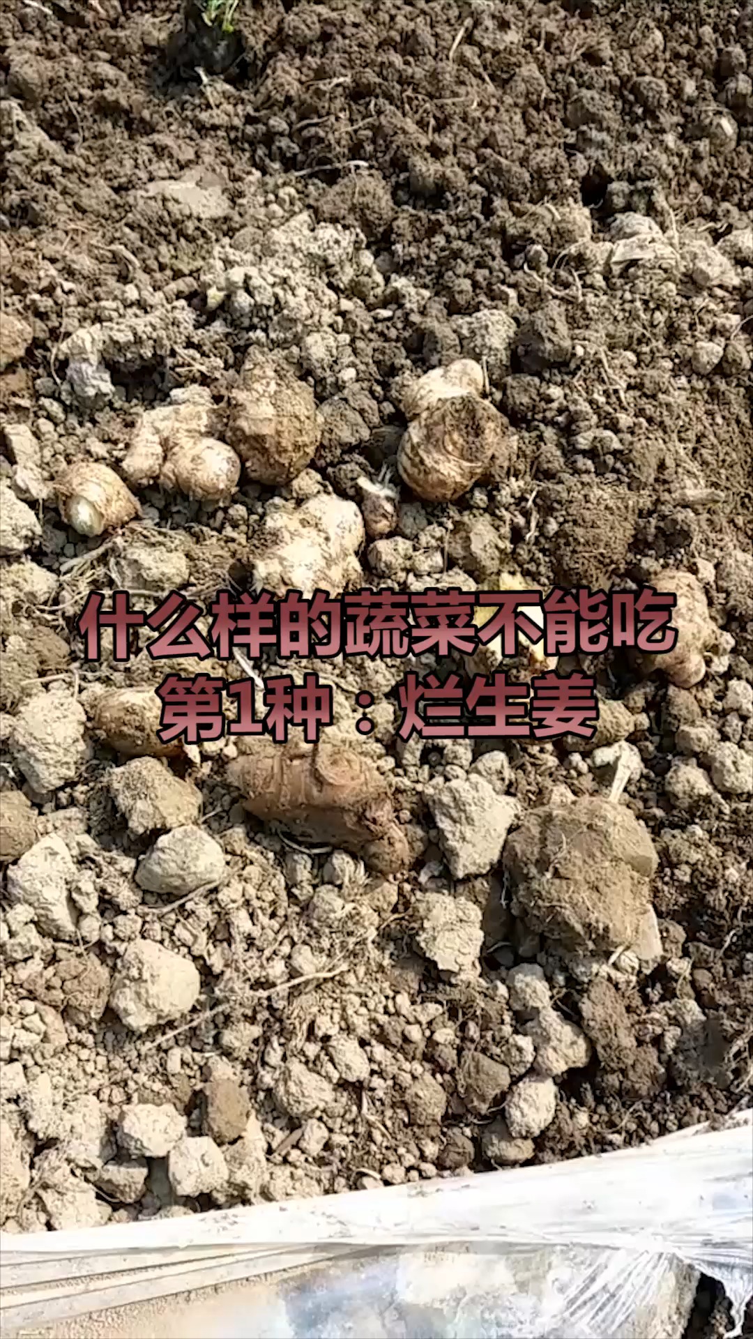 吃蔬菜的时候不要随便吃,要注意哪些,快来看看吧