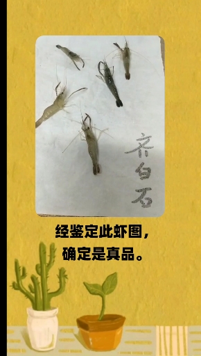 因缺钱现忍痛出售齐白石活虾图一副,原价三千万现在三十,要的快点因为有只虾快不行了