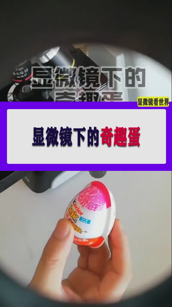 #显微镜世界#显微镜下的奇趣蛋