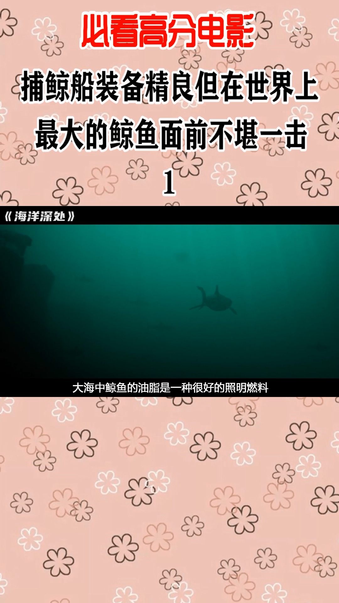 #好看电影#世界上最大鲸鱼强大无比1