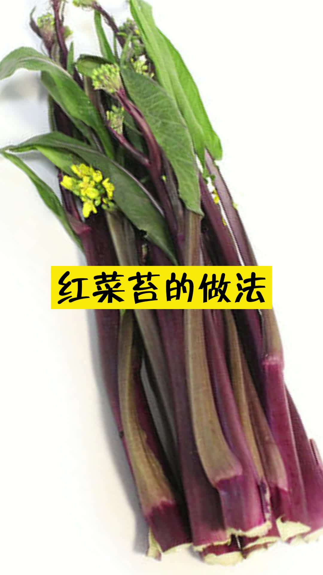 红菜苔的做法,你明白了吗