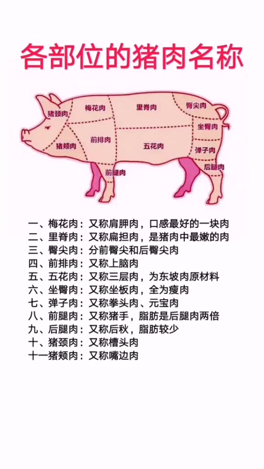 #搞笑段子#吃货们必备知识,各部位的猪肉名称,各部位的口感都有介绍!