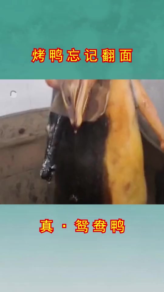 #搞笑段子#新菜品就取名叫太极鸭,绝对能大卖!
