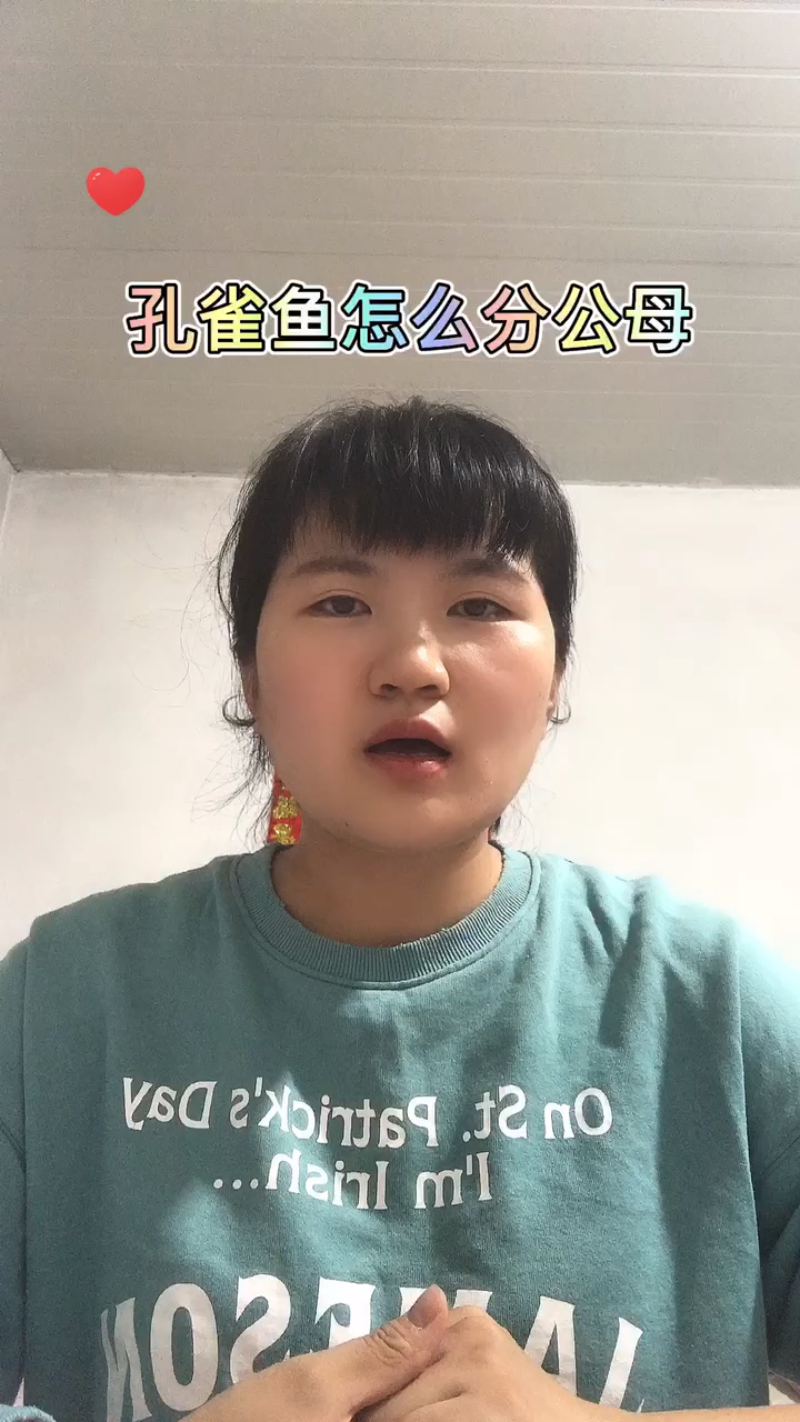 孔雀鱼怎么分公母 
