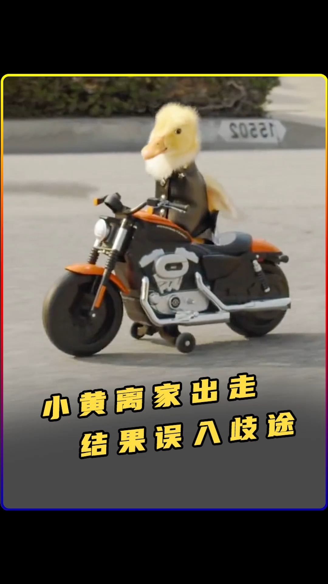#神奇动物在这里#小黄鸭整天被弟弟们欺负,离家出走后混成飞车党老大